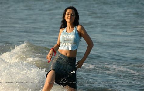 Nisha Kothari Indian Actress Bollywood Model Babe Wallpapers