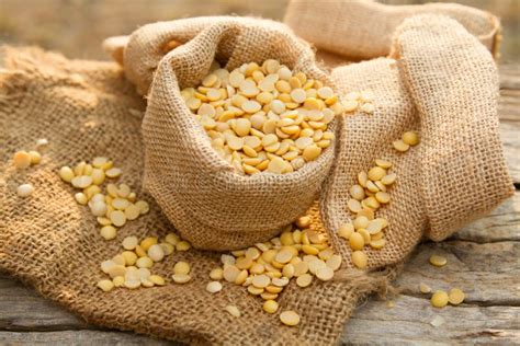 Protein plant soybean stock image. Image of agricultural - 91920121