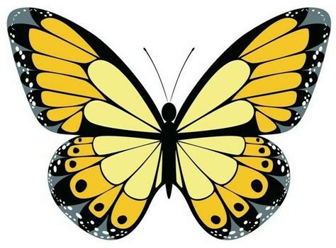 Pin By Suelen Silva On Borboletas Butterfly Pictures Yellow