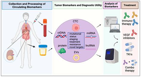 Circulating Biomarkers Circulating Biomarkers Can Be Obtained From