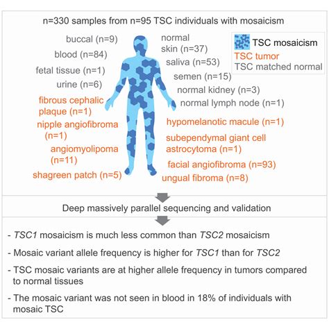 Comprehensive Genetic And Phenotype Analysis Of Individuals With