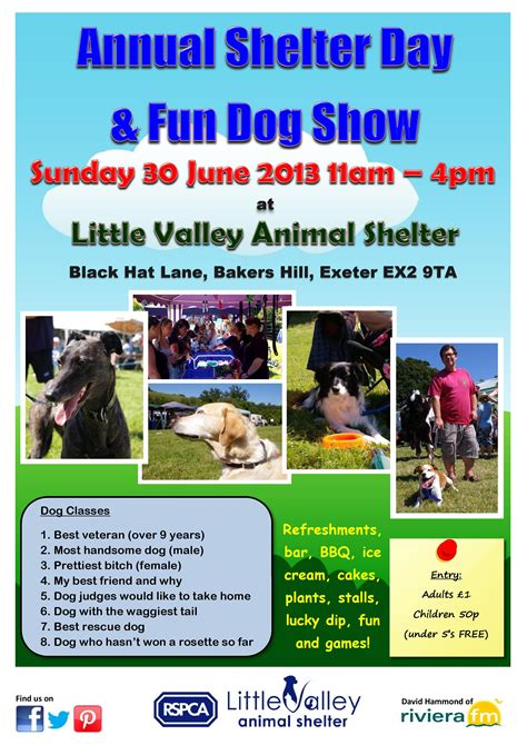 RSPCA Little Valley Animal Shelter Annual Shelter Day & Fun Dog Show ...