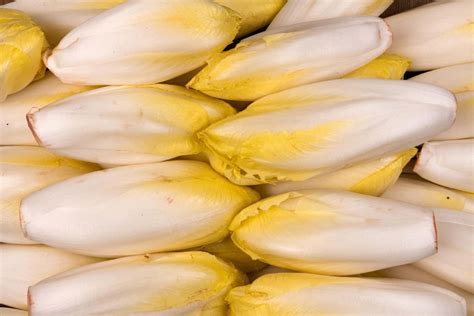 Endive Et Acide Urique Guerirlagoutte