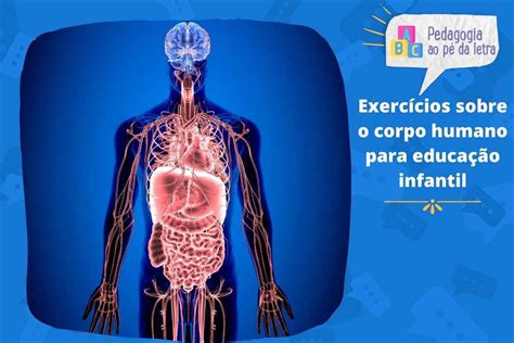 Confira Exerc Cios Sobre O Corpo Humano Para Serem Trabalhados A