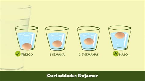 C Mo Saber Si Un Huevo Es Fresco Grupo Av Cola Rujamar