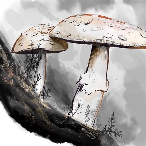 ArtStation - Shrooms