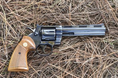 Taurus Raging Hunter Review 357 Magnum Review