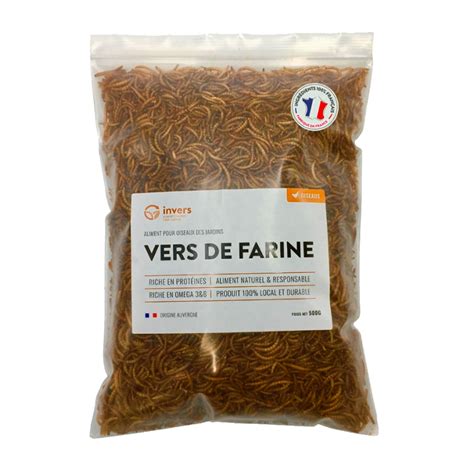 Vers De Farine D Shydrat S Invers La Boutique