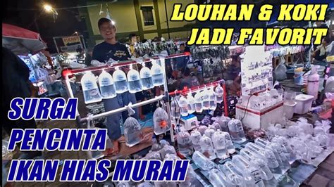 LOHAN SB UPDATE CEK HARGA TERBARU LOUHAN MAS KOKI TERMURAH BANG