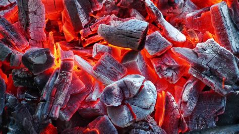 Burning Barbecue Coal Fire 1626742 Stock Video at Vecteezy