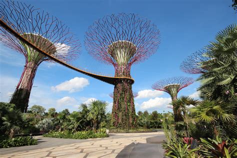 How to Get Back to Nature in Singapore - Klook Travel Blog