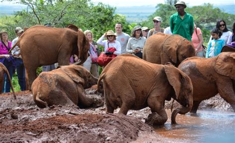 David Sheldrick Wild Peak Adventures