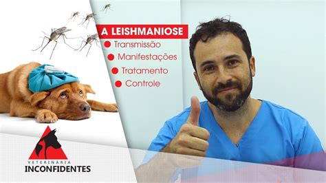 Leishmaniose Tratamentos Sintomas E Causas Youtube