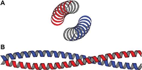 Figure From Article In Press Uncorrected Proof Review Coiled Coils As