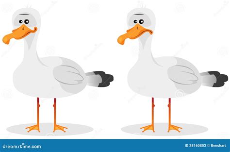 Funny Cute Seagull Stock Photos - Image: 28160803