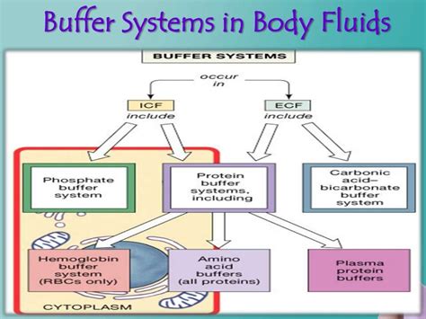 Buffer system