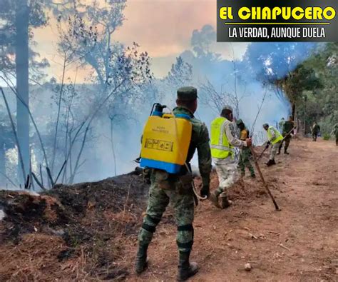 6 Mil Elementos De Las Fuerzas Armadas Atienden Incendios Forestales