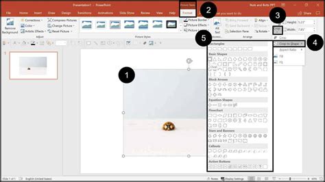 How To Crop Pictures In Powerpoint Step By Step