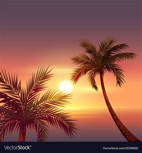 Sunset on tropical island black silhouette Vector Image