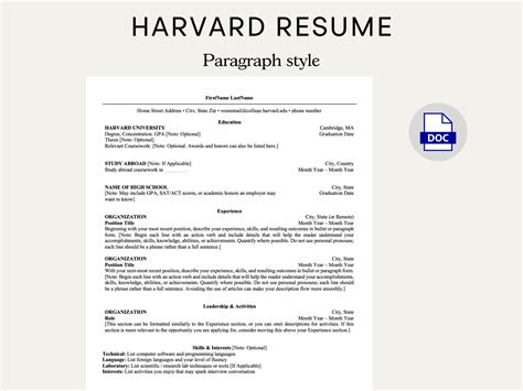 Clean Modern Resume Template Microsoft Word Harvard Modern Cv Template For Word Professional