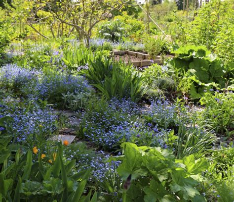 Adaptando el diseño de permacultura a jardines urbanos apartamentos y