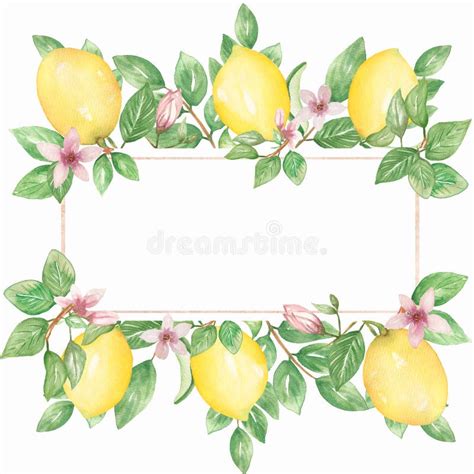 Hand Drawn Frame Of Watercolor Lemon Watercolor Illustration Border Of