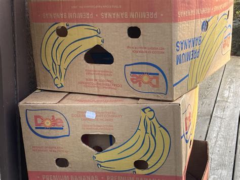 These Banana Boxes Getting It On Rpareidolia