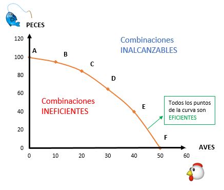 Actividad Resuelta El Dilema Carne O Pescado Frontera De