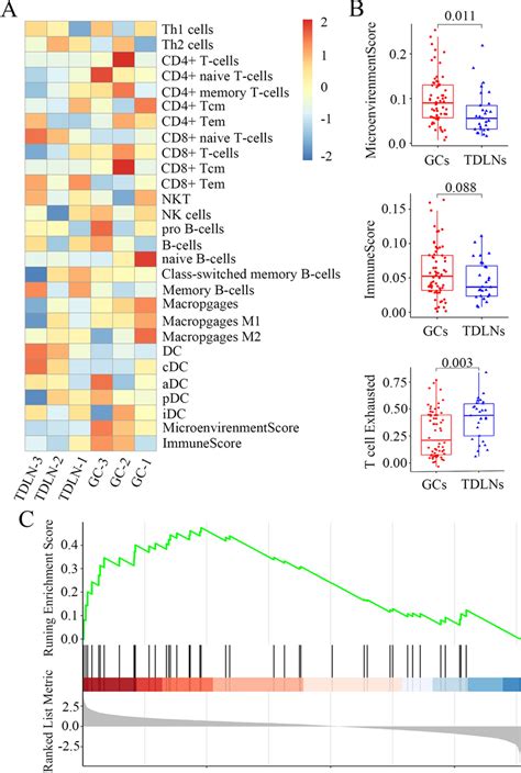 Bioinformatics Analysis Reveals Presence Of Immunosuppression In