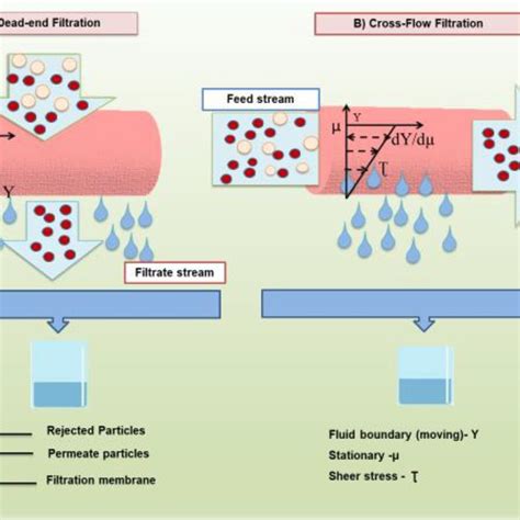 Type Of Flows In Membrane Separations A Dead End Filtration And B Download Scientific Diagram