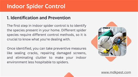 Ppt Indoor Vs Outdoor Spider Control Powerpoint Presentation Free Download Id12304703