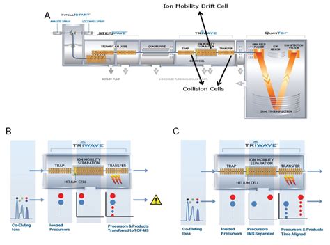 A Multidimensional Lipidomics Method Hilic Coupled With Ion Mobility