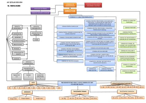 Organigrama Liceul Teoretic George Emil Palade