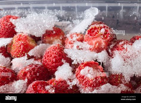 Frozen Strawberries In A Plastic Container Beautiful Food Background