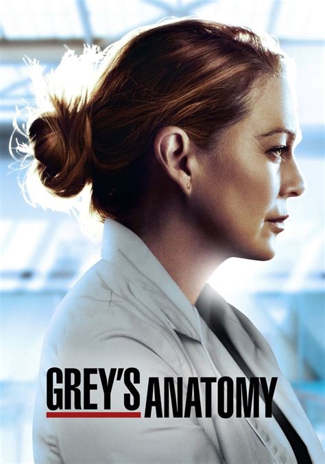 Greys Anatomy Season 19 Watch Episodes Streaming Online