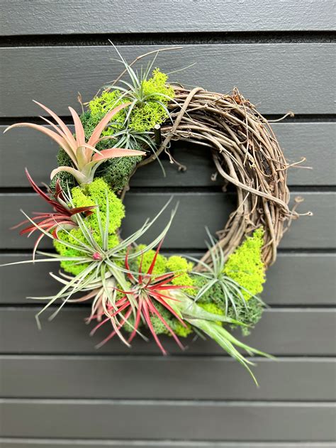 Air Plant Wreath Workshop With Wine Graf Growers