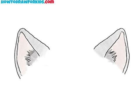 How To Draw Cat Ears Cat And Dog Drawing How To Draw Ears Anime Cat