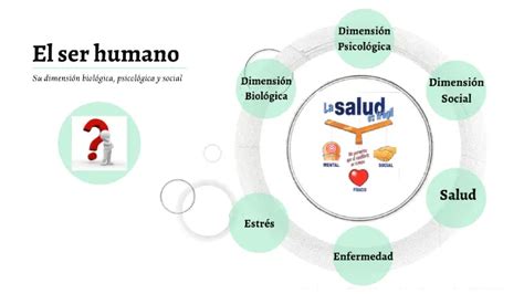 Dimensiones Biológica Social Y Psicológica Una Visión Integradora