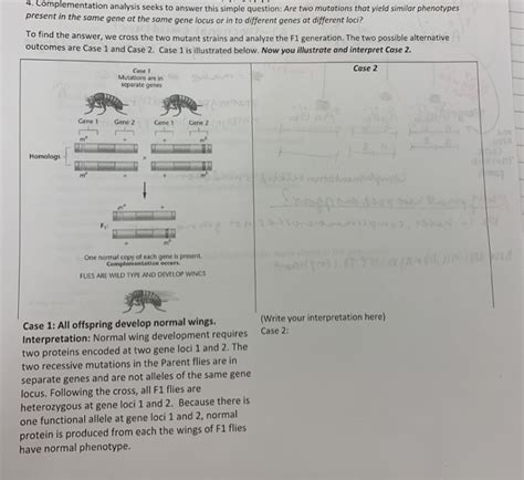 Solved 4. Complementation analysis seeks to answer this | Chegg.com 