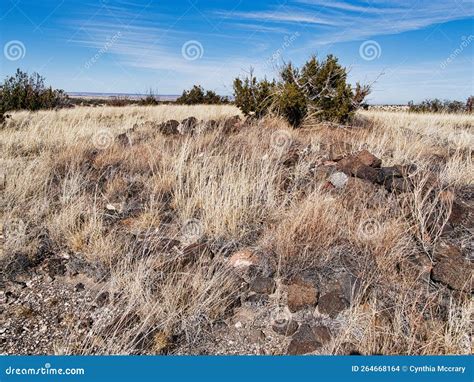 Unexcavated Ruins In Coconino National Forest Near Flagstaff Arizona