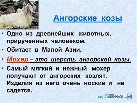 Козья шерсть: гладкокрашеная мягкая ткань из меха коз, описание и ...