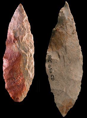 Middle Stone Age Tools Reveal Cultural Differences, Similarities | Stone age tools, Stone age ...