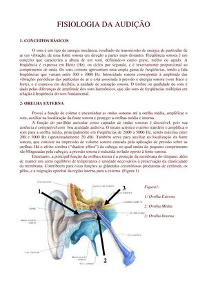 Semiologia E Semiot Cnica Do Abdome Amanda Sandes O Exame Do Abd Men