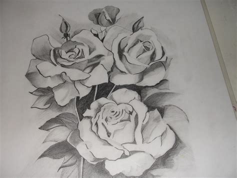 Pencil Sketch Of Rose Flower At Paintingvalley Explore Collection