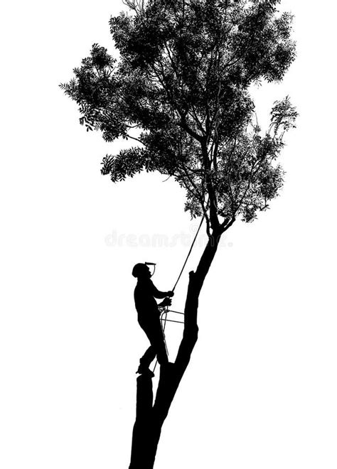 Arborist Stock Illustrations 602 Arborist Stock Illustrations