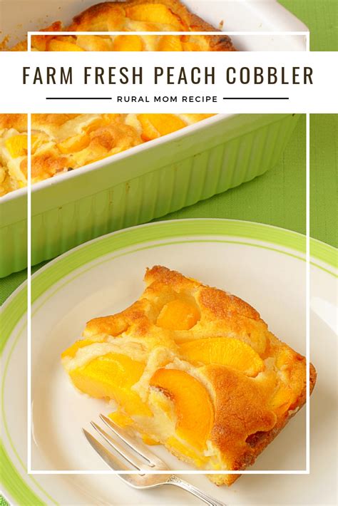 Farm Fresh Peach Cobbler Recipe Rural Mom