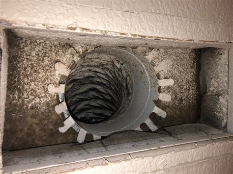 Caution Warning Signs Of Mold Growing Inside Your Hvac System Iac Indoor Air Care Professionals