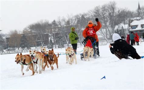 Photos A Day For The Dogs As The Lake Minnetonka Klondike Dog Derby