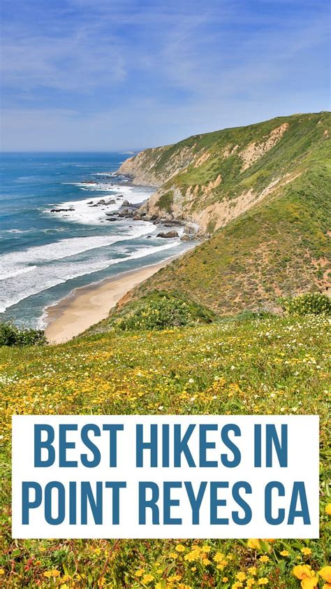 25 Best Hikes In Point Reyes In California You Should Plan Best Hikes