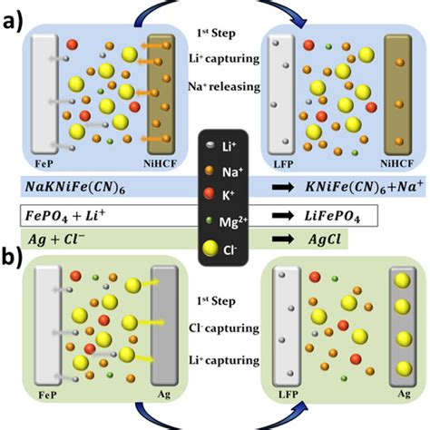 Schematic Representation Of A Selective Exchange And B Salt